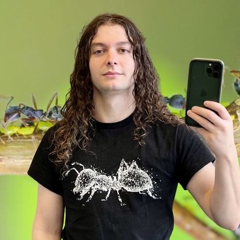 Yvain Samuel de Fourmiculture